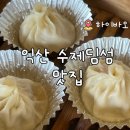 하이바오 | 쯔양 맛집으로 나온 수제 딤섬 익산 하이바오 후기 + 주차장, 포장, 웨이팅