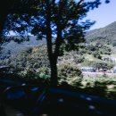 배내골산장 | 배내골 평상 대여 배내골산장 다녀온 후기