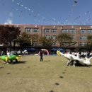 포이초등학교 이미지