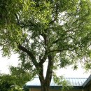 추정2리 이미지