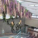 첨단산업1로 | 동탄 낮잠 제대로 가능한 곳｜24시간 무인 힐링공간 나비잠 안마의자 동탄IX타워점 후기