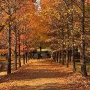 진주성매점 | 부산 근교 단풍 명소, 진주 경남수목원 11월 방문 후기