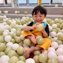 청송군립진보공공도서관 | 청송 가볼만한곳 진보키즈카페 무료 실내놀이터