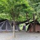 맑은물소리캠핑장 이미지