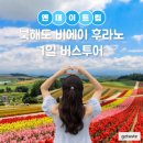 글로벌비에이 | 비에이 후라노 버스투어 예약 고민이라면 엔타비글로벌