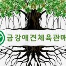 댕댕초댕학교 이미지