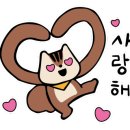 루루마루 이미지