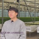 천창일농장 이미지