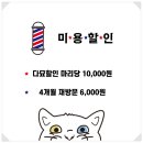 고양이미용호텔_미야옹 이미지