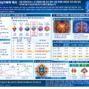 [ZPX 수리물리·위상기하학 백서] 다중 피라미드($N \ge 4$) 확장에 따른 공간 체적 수렴 한계와 8옥탄트 격자 포화 법칙: 피 이미지