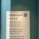 고운동물병원 | 강아지/고양이 피부질환 전문병원 "청담고운피부과동물병원" 방문 솔직후기 | 비숑프리제 곰팡이성...