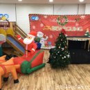 나무에서 이미지