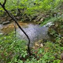 나곡초교입구 삼거리(상가쪽) | [계룡산]대전 세종 근처 가볼만한 계곡, 계룡산 상신계곡 등산코스! (feat. 삼불봉 막걸리 할머니와...