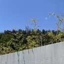 금요영화마당 | 기장 [ 문동사색 ] 프라이빗 독채 풀빌라 숙소 후기 &amp; 일출 맛집