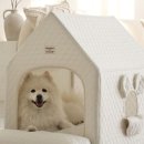 핑크 펫 하우스 이미지