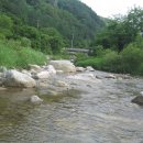 들꽃마을 펜션 이미지