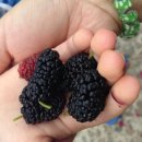 지리산소담펜션 이미지