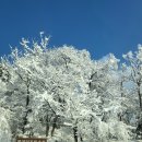 전우양타이어 | 211225 속초 롯데리조트 주니어 패밀리 스위트, 오션뷰 속초 숙소추천 룸서비스 내돈내산 후기