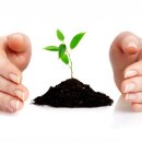 (주)금산고려인삼공사 이미지