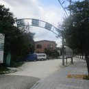 대성암 갈림길 이미지