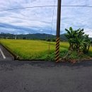 구성사슴농장 이미지