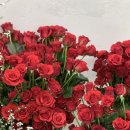 노마진프라자 | 시흥 장곡동 꽃집 레드 장미 100송이 대형 꽃바구니 "출산 축하 꽃선물"
