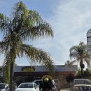 별난비어 | LA에서 샌디에이고 당일치기 맛집, 브루어리, 코스 추천!