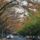 센텀노래연습장 | 공감 나누기