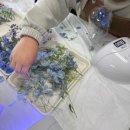 [1/17] 프리저브드 플라워 하바리움 - 원데이 클래스 | 인천 놀거리 코스 추천 - 친구와 함께 만든 남자친구 선물 하바리움 원데이클래스 제작 후기