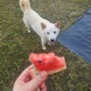 금어농장 이미지