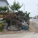 해비치목장 이미지