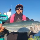 구룡포농업협동조합 이미지