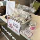 코코호도명지국제 이미지