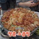 하삼동커피중앙대로점 | 서면곱창맛집 청춘 소곱창 내돈내산 솔직후기, 재방문 각 나온 이유