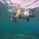 엔젤스슈즈케어 | 발리 누사페니다 서부투어 스노클링추천[인생샷보장] 발리 누사페니다 서부 투어 &amp; 스노클링 (한국어...