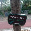좌4동 주민센터 이미지