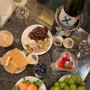 도그 인 시티 이미지