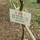 건지산(장덕사) | 전주 건지산 둘레길 편백나무숲 오송제 50분 산책 코스
