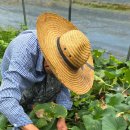 송영농장 이미지