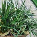 천호대로 213길 이미지