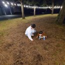 박장군식당 이미지