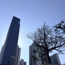 버스정류장 05-115 | 대전 서구 한화포레나 월평공원 임장 | 입주 전 입지, 학군 직접 둘러본 솔직 후기