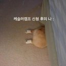 케슬러 | 케슬러 캠프 24/25 _ 첫 캠프 첫 강습!