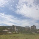 삼호공원 화장실 이미지