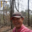 곡성-204 이미지