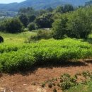 동면농장 이미지