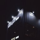 댕댕이블루스 이미지