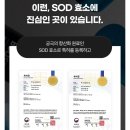 나와모랩