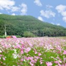 정정재(鼎井齋) | 명승 사인암의 가을그림