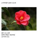 오늘의 小史 이미지